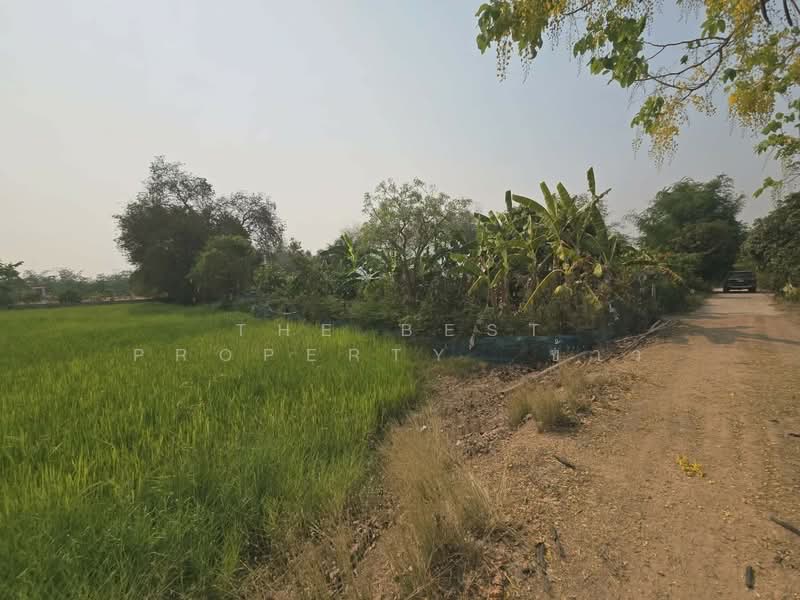 For Sale - ที่ดินสามง่าม พิจิตร, Phichit