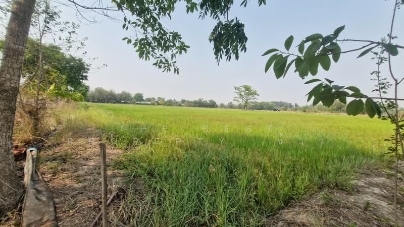 ที่ดินสามง่าม พิจิตร, พิจิตร, เนินปอ, สามง่าม, พิจิตร, 29,300 ตร.ม., ที่ดิน ขาย, โดย The Best Property  ข้าว, 500262121 - DDproperty.com