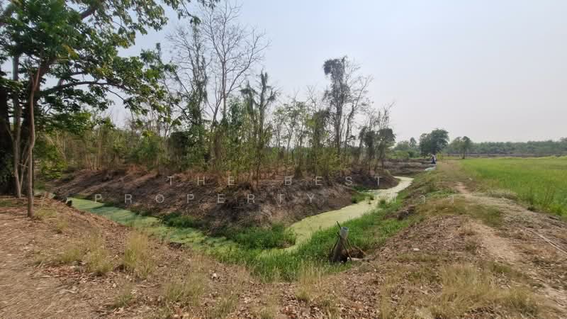 For Sale - ที่ดินสามง่าม พิจิตร, Phichit
