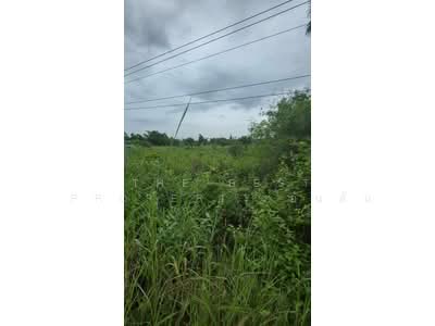 ขาย - ที่ดินปากท่อ ราชบุรี, ราชบุรี