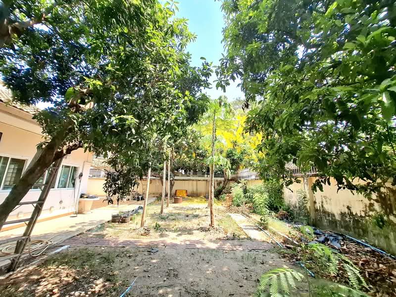 บ้านเดี่ยวสุขุมวิท71, กรุงเทพ, พระโขนงเหนือ, วัฒนา, กรุงเทพ, 442 ตร.ม., บ้านเดี่ยว ขาย, โดย Thanitcha Kangkasuwanno, 500262166 - DDproperty.com