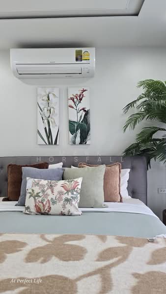 Supicha Sino Kohkaew 8, Phuket, 189 Thep Krasattri Road, Ko Kaeo, Muang Phuket, Phuket, 3 Bedrooms, 160 sqm, Villa For Rent, by Mark Horsfall, 500262176 - DDproperty.com
