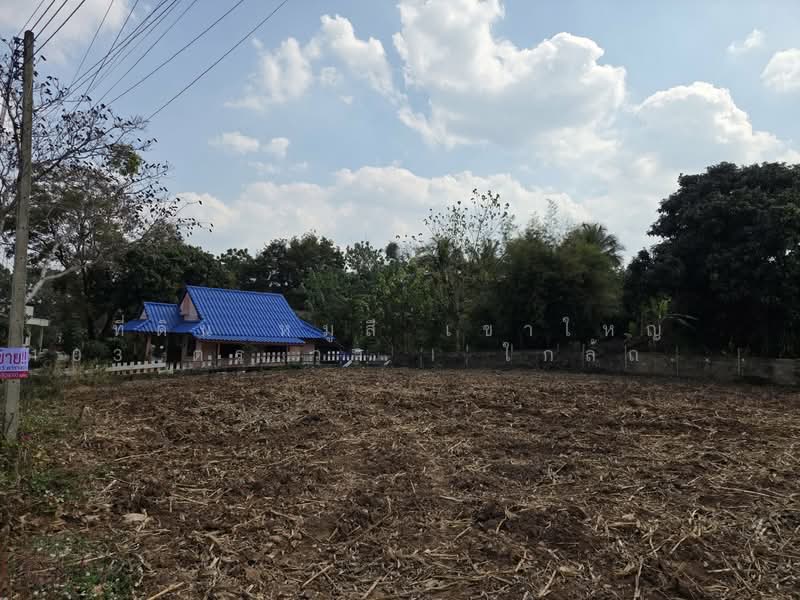 Land for Sale in Mu Si, Khao Yai – 104 sq.wah, | 400 m to Thanarat Road, Nakhon Ratchasima, Pak Chong, Nakhon Ratchasima, , 416 sqm, Land For Sale, by คุณเอ็มมี่, 500262248 - DDproperty.com