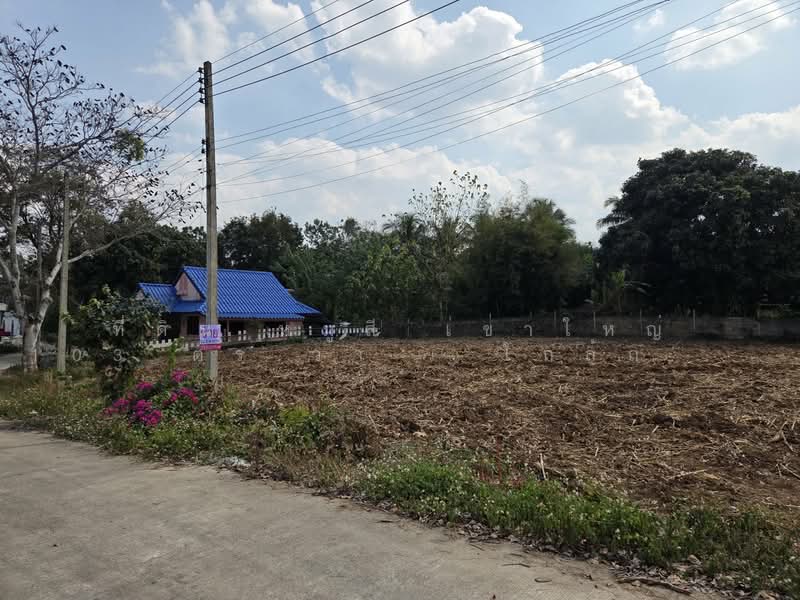 Land for Sale in Mu Si, Khao Yai – 104 sq.wah, | 400 m to Thanarat Road, Nakhon Ratchasima, Pak Chong, Nakhon Ratchasima, , 416 sqm, Land For Sale, by คุณเอ็มมี่, 500262248 - DDproperty.com
