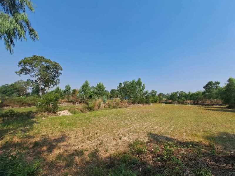 ที่ดินสะอาดสมบูรณ์ ร้อยเอ็ด, Roi Et, Sa-at Sombun, Muang Roi Et, Roi Et, , 5,800 sqm, Land For Sale, by The Best Property แหม่ม, 500262341 - DDproperty.com