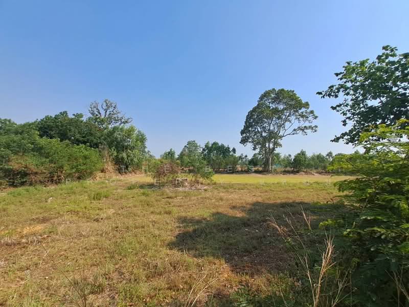 ที่ดินสะอาดสมบูรณ์ ร้อยเอ็ด, Roi Et, Sa-at Sombun, Muang Roi Et, Roi Et, , 5,800 sqm, Land For Sale, by The Best Property แหม่ม, 500262341 - DDproperty.com