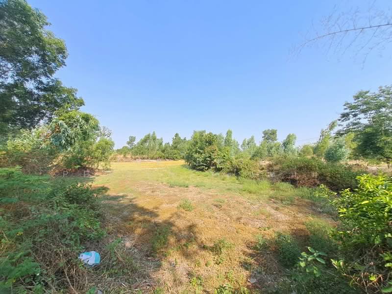 ที่ดินสะอาดสมบูรณ์ ร้อยเอ็ด, Roi Et, Sa-at Sombun, Muang Roi Et, Roi Et, , 5,800 sqm, Land For Sale, by The Best Property แหม่ม, 500262341 - DDproperty.com