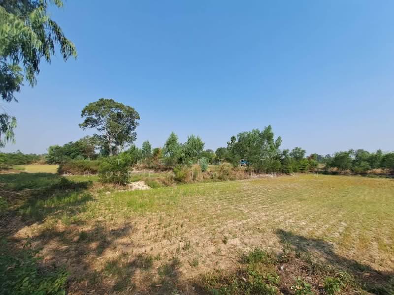 ที่ดินสะอาดสมบูรณ์ ร้อยเอ็ด, Roi Et, Sa-at Sombun, Muang Roi Et, Roi Et, , 5,800 sqm, Land For Sale, by The Best Property แหม่ม, 500262341 - DDproperty.com