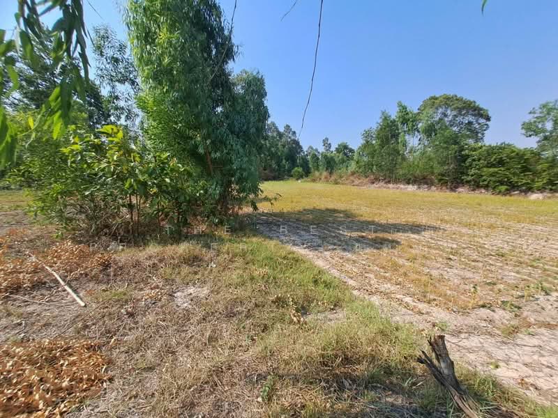 ที่ดินสะอาดสมบูรณ์ ร้อยเอ็ด, Roi Et, Sa-at Sombun, Muang Roi Et, Roi Et, , 5,800 sqm, Land For Sale, by The Best Property แหม่ม, 500262341 - DDproperty.com