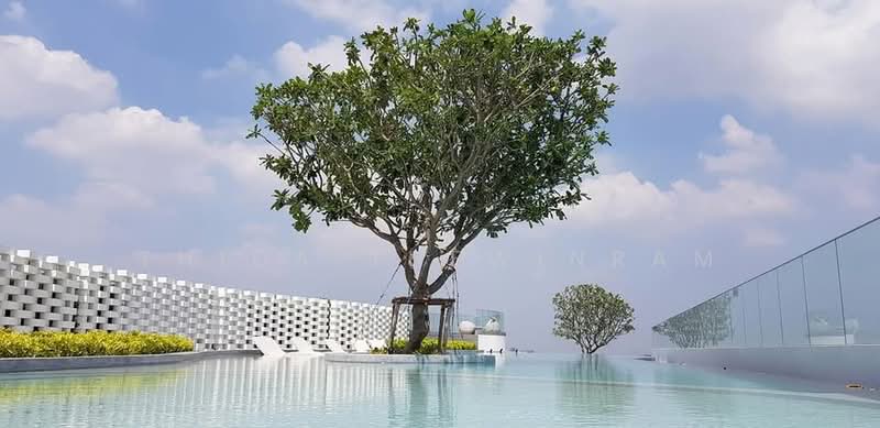The Tree Sukhumvit 71-Ekamai : เดอะทรี สุขุมวิท 71 – เอกมัย, กรุงเทพ, 1269 ถ. สุขุมวิท 71, สวนหลวง, สวนหลวง, กรุงเทพ, 31 ตร.ม., คอนโด ให้เช่า, โดย Thida Thewinram, 500262345 - DDproperty.com