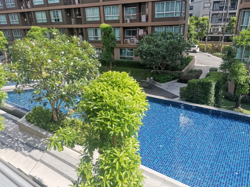 Dcondo Creek Phuket, Phuket, 81 Moo 2, Kathu, Kathu, Phuket, 1 Bedroom, 33 sqm, Condo For Rent, by Prime Global Asset, 500262436 - DDproperty.com