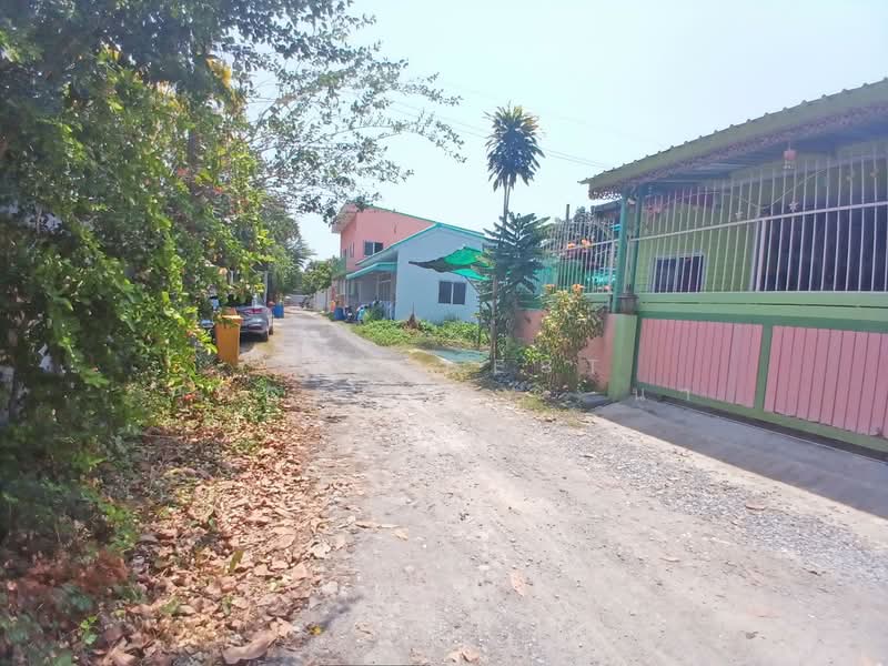 ที่ดินบางขุนเทียน กรุงเทพมหานคร, Bangkok, Samae Dam, Bang Khun Thian, Bangkok, , 120 sqm, Land For Sale, by The Best Property  นา, 500262469 - DDproperty.com