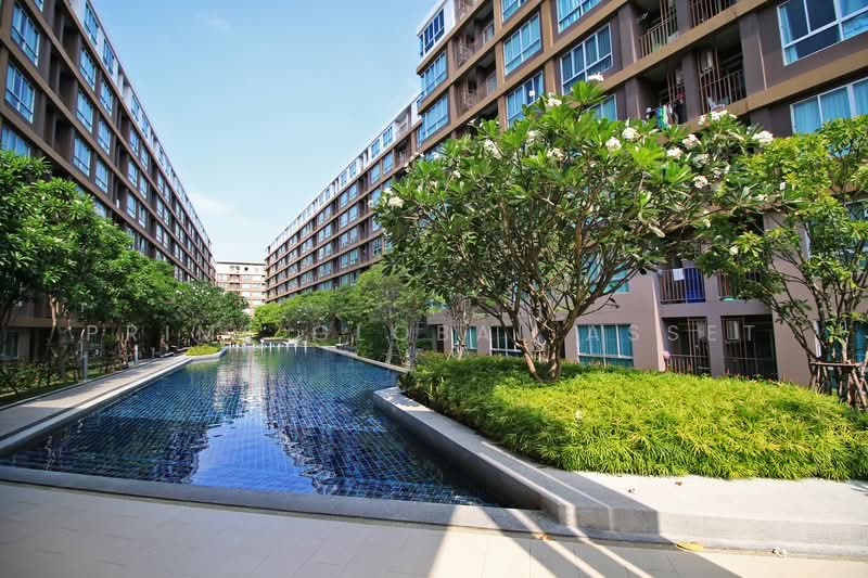 Dcondo Creek Phuket, Phuket, 81 Moo 2, Kathu, Kathu, Phuket, 1 Bedroom, 31 sqm, Condo For Rent, by Prime Global Asset, 500262488 - DDproperty.com
