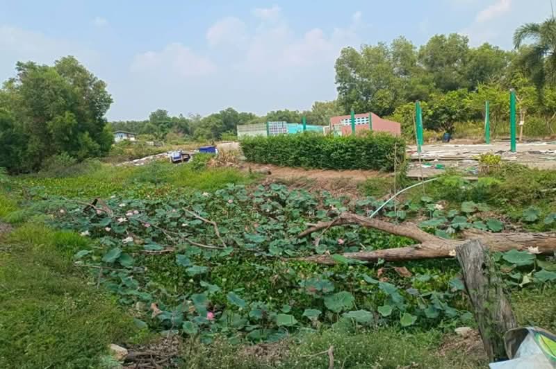 ที่ดินเปล่า เนื้อที่ 8-2-60 ไร่ บ้านทรายมูล (ใกล้สามแยกองครักษ์), Nakhon Nayok, Sai Mun, Ongkharak, Nakhon Nayok, , 13,840 sqm, Land For Sale, by ชนะชาติ นนท์ตา, 500262567 - DDproperty.com
