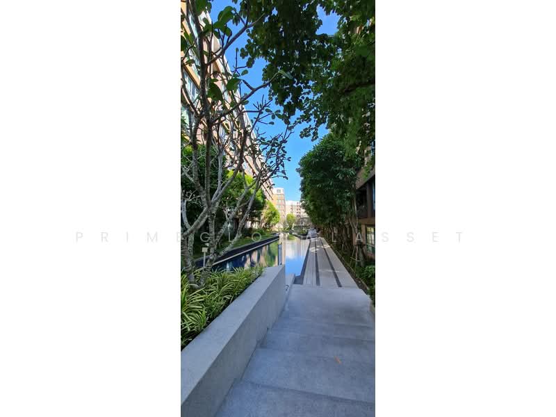 Dcondo Creek Phuket, Phuket, 81 Moo 2, Kathu, Kathu, Phuket, 1 Bedroom, 30 sqm, Condo For Rent, by PrimeGlobalAsset, 500262647 - DDproperty.com