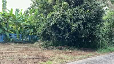 ขาย - ที่ดินสันกำแพง เชียงใหม่, เชียงใหม่