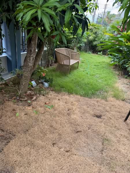 พนาสนธิ์ไพรเวทโฮมกะทู้, Phuket, Kathu, Kathu, Phuket, 3 Bedrooms, 1 sqm, Single Detached House For Rent, by Prime Global Asset Co.,Ltd, 500262745 - DDproperty.com