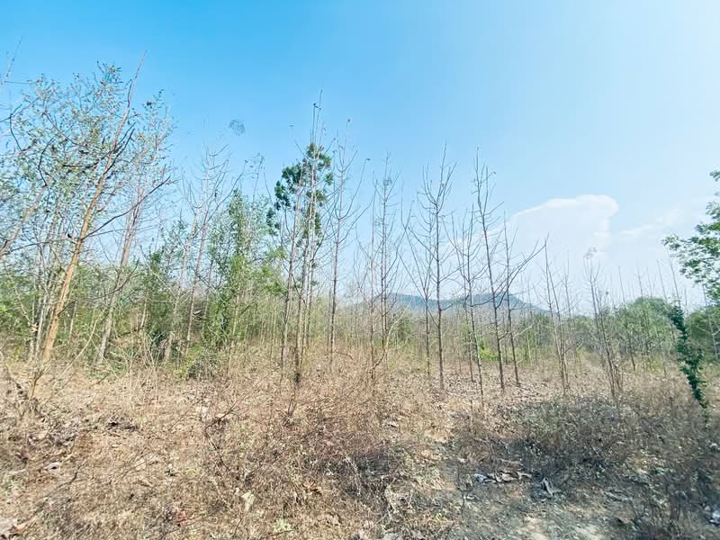 ที่ดินแก่งกระจาน เพชรบุรี, Phetchaburi, Wang Chan, Kaeng Krachan, Phetchaburi, , 22,488 sqm, Land For Sale, by The Best Property แอน, 500262914 - DDproperty.com