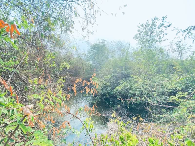 ที่ดินแก่งกระจาน เพชรบุรี, Phetchaburi, Wang Chan, Kaeng Krachan, Phetchaburi, , 22,488 sqm, Land For Sale, by The Best Property แอน, 500262914 - DDproperty.com
