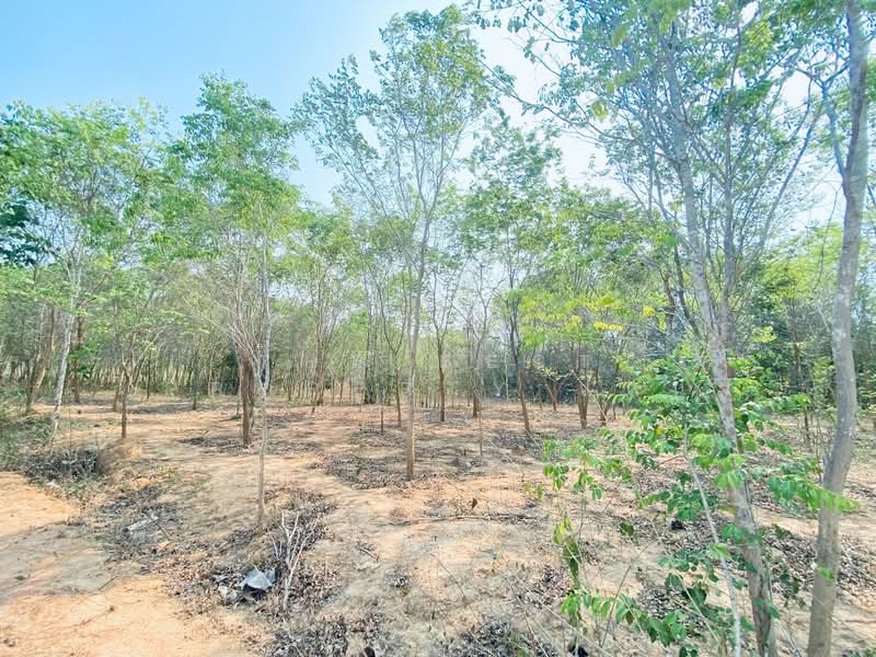 ที่ดินแก่งกระจาน เพชรบุรี, Phetchaburi, Wang Chan, Kaeng Krachan, Phetchaburi, , 22,488 sqm, Land For Sale, by The Best Property แอน, 500262914 - DDproperty.com
