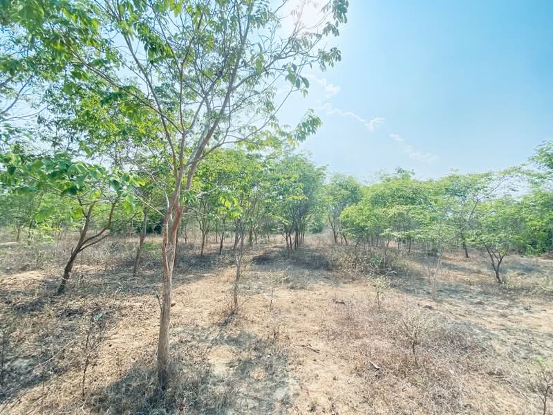ที่ดินแก่งกระจาน เพชรบุรี, Phetchaburi, Wang Chan, Kaeng Krachan, Phetchaburi, , 22,488 sqm, Land For Sale, by The Best Property แอน, 500262914 - DDproperty.com
