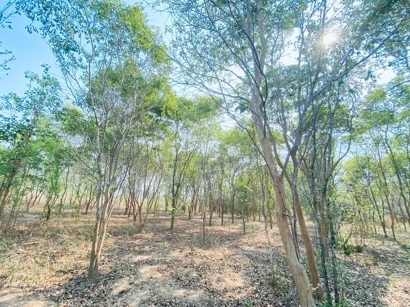 ที่ดินแก่งกระจาน เพชรบุรี, Phetchaburi, Wang Chan, Kaeng Krachan, Phetchaburi, , 22,488 sqm, Land For Sale, by The Best Property แอน, 500262914 - DDproperty.com