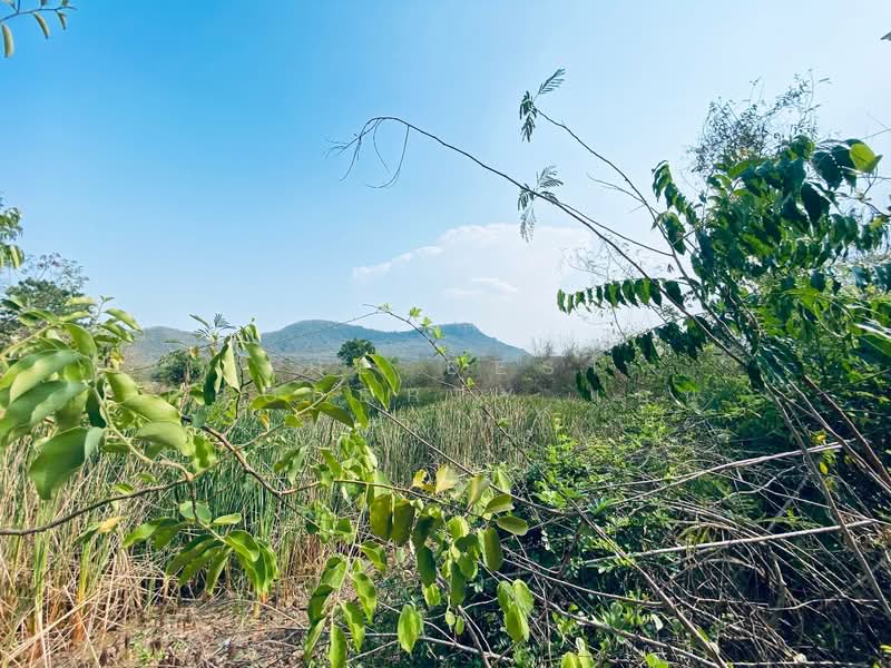 ที่ดินแก่งกระจาน เพชรบุรี, Phetchaburi, Wang Chan, Kaeng Krachan, Phetchaburi, , 22,488 sqm, Land For Sale, by The Best Property แอน, 500262914 - DDproperty.com