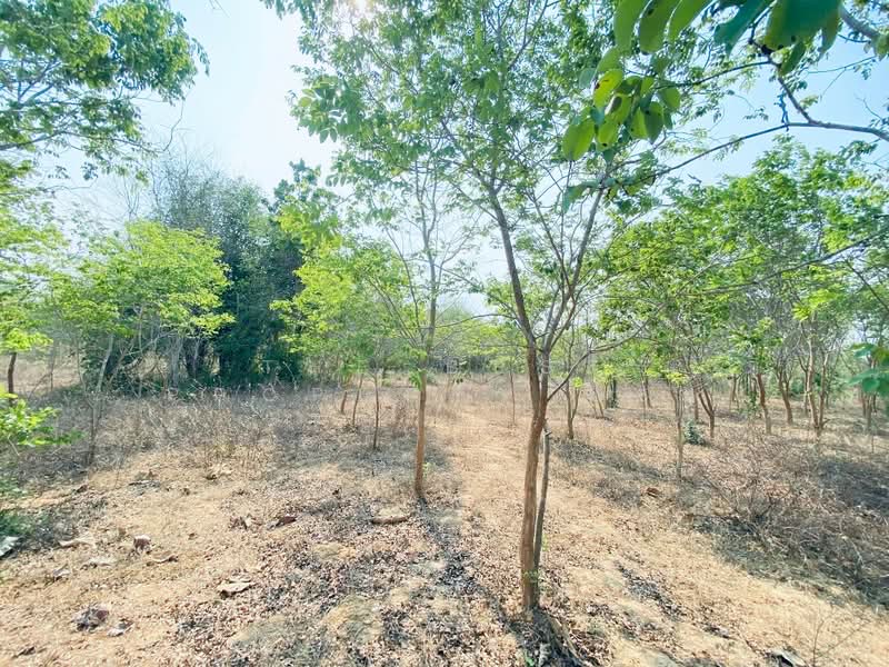 ที่ดินแก่งกระจาน เพชรบุรี, Phetchaburi, Wang Chan, Kaeng Krachan, Phetchaburi, , 22,488 sqm, Land For Sale, by The Best Property แอน, 500262914 - DDproperty.com
