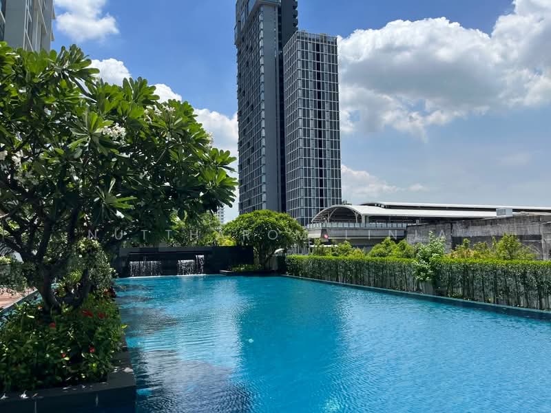 The Room Sukhumvit 62 : เดอะรูม สุขุมวิท 62, กรุงเทพ, 2288 ถ.สุขุมวิท, บางจาก, พระโขนง, กรุงเทพ, 76 ตร.ม., คอนโด ขาย, โดย Nuttharom Linla, 500262970 - DDproperty.com