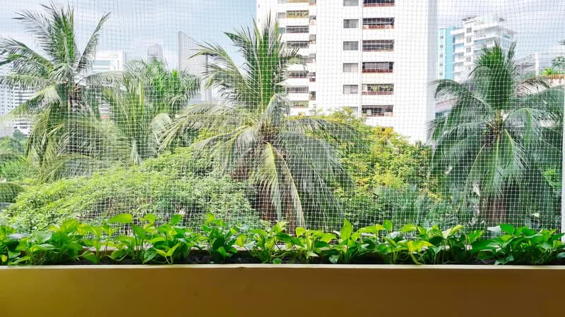 Prestige Towers : เพรสทีจ ทาวเวอร์, กรุงเทพ, 168 ซอยสุขุมวิท 23, คลองเตยเหนือ, วัฒนา, กรุงเทพ, 174 ตร.ม., คอนโด ขาย, โดย Nuttharom Linla, 500262992 - DDproperty.com