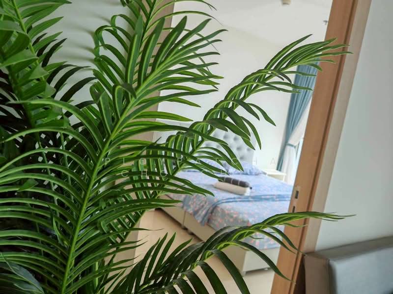 The Riviera Jomtien, Chon Buri (Pattaya), Pattaya Sai 2 Road, Nong Pru, Bang Lamung (Pattaya), Chon Buri (Pattaya), 2 Bedrooms, 75 sqm, Condo For Rent, by Ploypatcha Chomchid, 500263150 - DDproperty.com