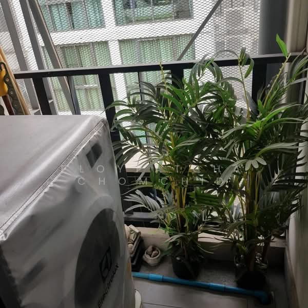 Vinn Sukhumvit 46, Bangkok, 28 Sukhumvit 46 Alley, Phra Kanong, Khlong Toei, Bangkok, 1 Bedroom, 36 sqm, Condo For Rent, by Ploypatcha Chomchid, 500263265 - DDproperty.com