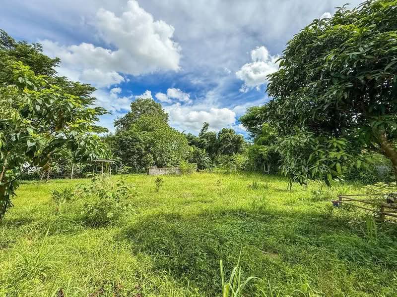 1-BR House, Chon Buri (Pattaya), Nong - Kham, Si Racha, Chon Buri (Pattaya), 1 Bedroom, 47 sqm, Single Detached House For Sale, by Boonyanuch Unna, 500263295 - DDproperty.com