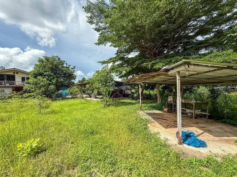 1-BR House, Chon Buri (Pattaya), Nong - Kham, Si Racha, Chon Buri (Pattaya), 1 Bedroom, 47 sqm, Single Detached House For Sale, by Boonyanuch Unna, 500263295 - DDproperty.com