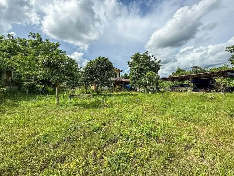 1-BR House, Chon Buri (Pattaya), Nong - Kham, Si Racha, Chon Buri (Pattaya), 1 Bedroom, 47 sqm, Single Detached House For Sale, by Boonyanuch Unna, 500263295 - DDproperty.com