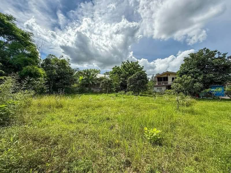 1-BR House, Chon Buri (Pattaya), Nong - Kham, Si Racha, Chon Buri (Pattaya), 1 Bedroom, 47 sqm, Single Detached House For Sale, by Boonyanuch Unna, 500263295 - DDproperty.com