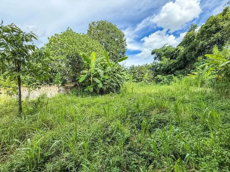 1-BR House, Chon Buri (Pattaya), Nong - Kham, Si Racha, Chon Buri (Pattaya), 1 Bedroom, 47 sqm, Single Detached House For Sale, by Boonyanuch Unna, 500263295 - DDproperty.com