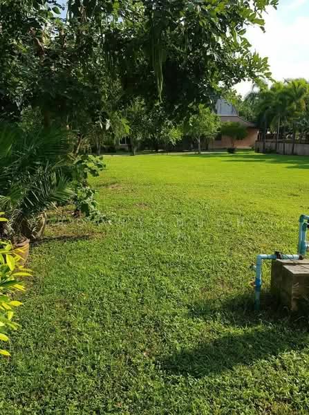 6-BR House, Chon Buri (Pattaya), Poong, Bang Lamung (Pattaya), Chon Buri (Pattaya), 6 Bedrooms, 2,272 sqm, Single Detached House For Sale, by Boonyanuch Unna, 500263487 - DDproperty.com