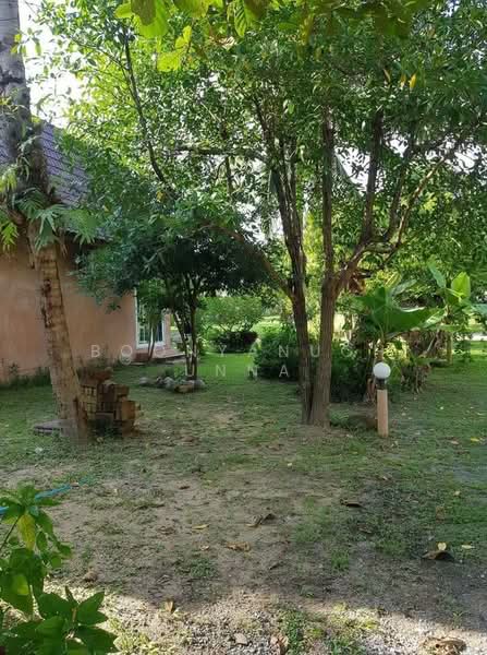 6-BR House, Chon Buri (Pattaya), Poong, Bang Lamung (Pattaya), Chon Buri (Pattaya), 6 Bedrooms, 2,272 sqm, Single Detached House For Sale, by Boonyanuch Unna, 500263487 - DDproperty.com