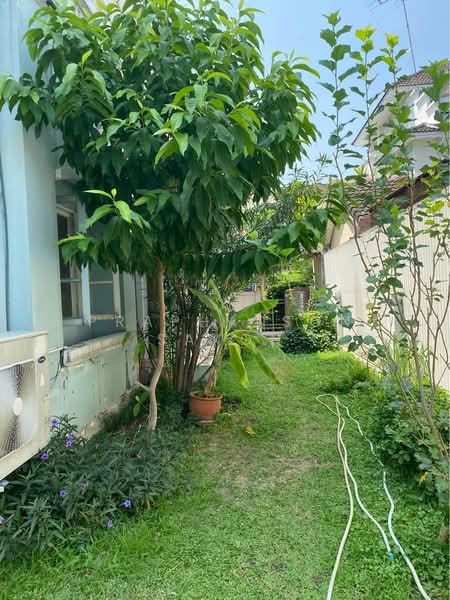 undefined, Bangkok, Wong Sawang, Bang Sue, Bangkok, 2 Bedrooms, 141 sqm, Townhouse For Sale, by Praphatson Sakon, 500263571 - DDproperty.com