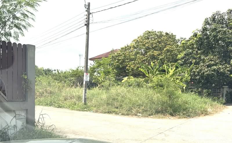 Land for sale 4-0-28 Rai price 22,000 per Sq.wha Total 35,816,000 Baht, Bangkok, เพิ่มสิน, Sai Mai, Sai Mai, Bangkok, , 1 sqm, Business For Sale, by Thanatsorn Hongmanop, 500263681 - DDproperty.com