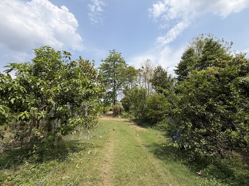 Land for sale 4-0-28 Rai price 22,000 per Sq.wha Total 35,8000,000 Baht, Bangkok, เพิ่มสิน, Sai Mai, Bangkok, , 1 sqm, Business For Sale, by Thanatsorn Hongmanop, 500263681 - DDproperty.com