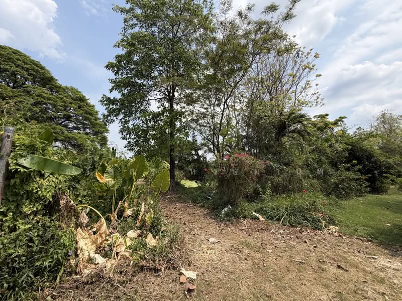 Land for sale 4-0-28 Rai price 22,000 per Sq.wha Total 35,8000,000 Baht, Bangkok, เพิ่มสิน, Sai Mai, Bangkok, , 1 sqm, Business For Sale, by Thanatsorn Hongmanop, 500263681 - DDproperty.com