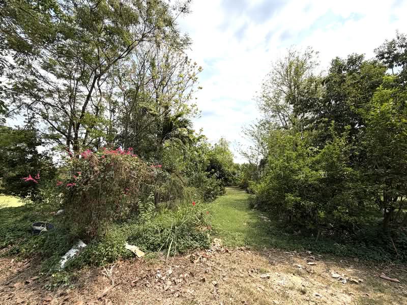 Land for sale 4-0-28 Rai price 22,000 per Sq.wha Total 35,8000,000 Baht, Bangkok, เพิ่มสิน, Sai Mai, Bangkok, , 1 sqm, Business For Sale, by Thanatsorn Hongmanop, 500263681 - DDproperty.com