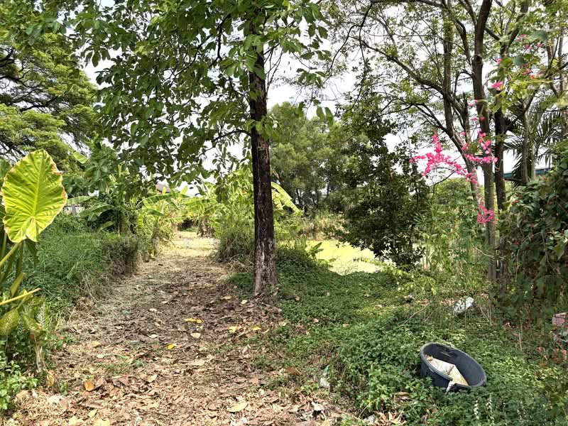 Land for sale 4-0-28 Rai price 22,000 per Sq.wha Total 35,816,000 Baht, Bangkok, เพิ่มสิน, Sai Mai, Sai Mai, Bangkok, , 1 sqm, Business For Sale, by Thanatsorn Hongmanop, 500263681 - DDproperty.com