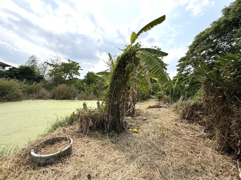 Land for sale 4-0-28 Rai price 22,000 per Sq.wha Total 35,816,000 Baht, Bangkok, เพิ่มสิน, Sai Mai, Sai Mai, Bangkok, , 1 sqm, Business For Sale, by Thanatsorn Hongmanop, 500263681 - DDproperty.com