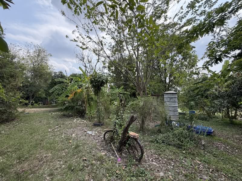 Land for sale 4-0-28 Rai price 22,000 per Sq.wha Total 35,8000,000 Baht, Bangkok, เพิ่มสิน, Sai Mai, Bangkok, , 1 sqm, Business For Sale, by Thanatsorn Hongmanop, 500263681 - DDproperty.com