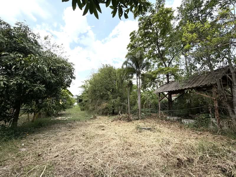 Land for sale 4-0-28 Rai price 22,000 per Sq.wha Total 35,8000,000 Baht, Bangkok, เพิ่มสิน, Sai Mai, Bangkok, , 1 sqm, Business For Sale, by Thanatsorn Hongmanop, 500263681 - DDproperty.com