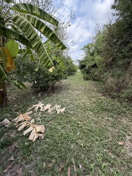 Land for sale 4-0-28 Rai price 22,000 per Sq.wha Total 35,816,000 Baht, Bangkok, เพิ่มสิน, Sai Mai, Sai Mai, Bangkok, , 1 sqm, Business For Sale, by Thanatsorn Hongmanop, 500263681 - DDproperty.com