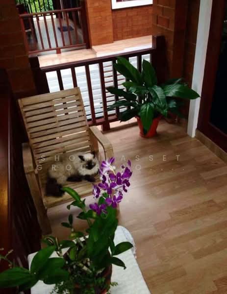 Baan Wang Tan, Chiang Mai, Mae Hia, Muang Chiang Mai, Chiang Mai, 4 Bedrooms, 348 sqm, Single Detached House For Rent, by Shori Asset Group Co., Ltd., 500264382 - DDproperty.com